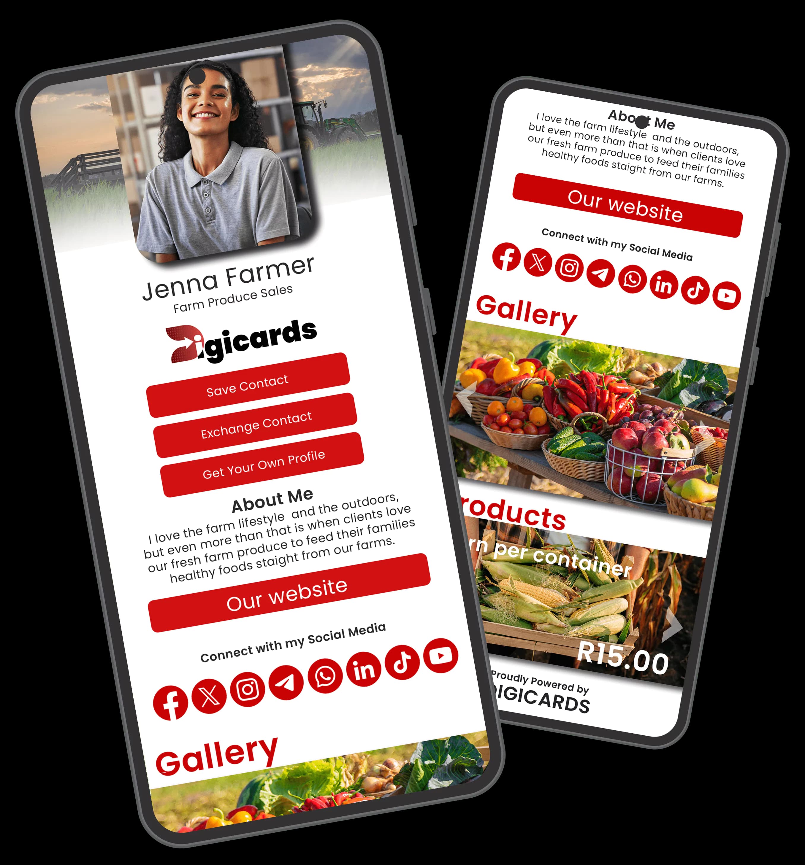 DigiSilver & DigiGold